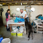 Nic Collins and Sabine Nemet in their pottery 2016